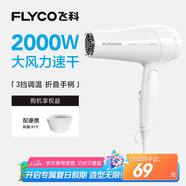 飛科（FLYCO）電吹風(fēng)機(jī)家用發(fā)廊大功率2000W速干恒溫便攜可折疊白色FH6232
