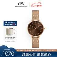 丹尼爾惠靈頓（DanielWellington）DW手女表 全新配色鋼帶女士手表 時尚歐美表七夕禮物DW00100476