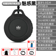 朗琴朗琴T350藍牙小音箱迷你低音炮大音量戶(hù)外運動(dòng)便攜式跑步插卡音響 黑色+讀卡器+充電線(xiàn)+音頻線(xiàn)