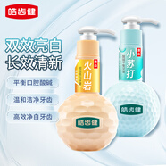 皓齒?。℉osjam）亮白牙膏按壓式 薄荷清新口氣護(hù)齦潔齒 去黃減少牙菌斑牙漬 小蘇達(dá)+火山巖2支裝440g