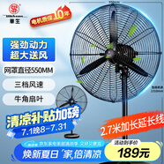 華生（Wahson）工業(yè)風(fēng)扇電風(fēng)扇強力超大落地扇大風(fēng)力工廠車間工業(yè)扇商用風(fēng)扇交流定頻工業(yè)電風(fēng)扇牛角扇FL-50加強