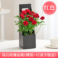 愛你一萬年梔子花盆栽花卉植物室內(nèi)綠植四季好養(yǎng)茉莉花源頭直發(fā)驅(qū)蚊組合包郵 紅玫瑰1盆+C款手提盒+營養(yǎng)液