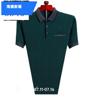 海瀾新潮國(guó)際一線品牌品牌桑蠶絲短袖T恤男中年夏季翻領(lǐng)半袖大碼 短袖9828綠色 2XL 180建議155-170斤