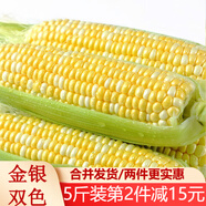 滇味十足（DIANWEISHIZU）水果玉米甜玉米云南金銀雙色新鮮甜嫩水果玉米棒鮮玉米茄果瓜 金銀雙色 凈重2斤（約3-5根）