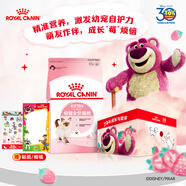 皇家幼貓貓糧K36 4.5kg+草莓熊盒子
