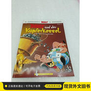 ASTERIX UND DER KUPFERKESSEL Band 13