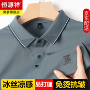恒源祥高級感短袖T恤男高端中年爸爸夏裝涼感翻領(lǐng)冰絲POLO衫半袖上衣服 灰綠 M 165