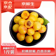 京鮮生 新疆吊干杏 凈重500g 單果12g 嘗鮮裝 生鮮水果  