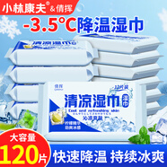 小林康夫清涼濕巾120片 降溫冰涼巾涼感防暑降溫套裝用品冷感神器濕紙巾
