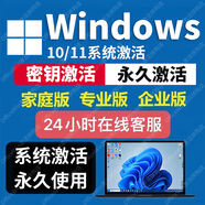 win10win11專業(yè)版系統(tǒng)激活碼家庭版windows11密鑰家庭中文版 Windows11 專業(yè)版（密鑰激活）