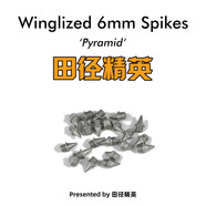 田徑精英高精度通用鞋釘  釘鞋配件田徑精英專業(yè)比賽訓練高耐磨鋼釘碳釘 16顆/6MM銀色碳釘/無孔