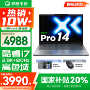 聯(lián)想小新14/小新Pro14 2025補(bǔ)貼可選 高性能超輕薄筆記本電腦 學(xué)生游戲設(shè)計(jì)辦公本 標(biāo)壓酷睿 13代i7 16G 1TB｜小新Pro14國家補(bǔ)貼 IPS高清全面屏｜DC調(diào)光 護(hù)眼無閃爍
