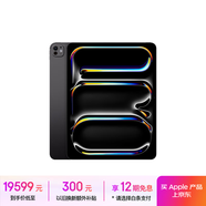 Apple/蘋(píng)果 iPad Pro13英寸M4芯片 2024年新款平板電腦(2T WLAN版/標(biāo)準(zhǔn)玻璃/MVX83CH/A)深空黑色
