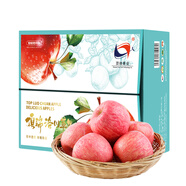 洛川蘋(píng)果陜西延安特產(chǎn)紅富士時(shí)令蘋(píng)果水果禮盒送蘋(píng)果生鮮新鮮脆甜整箱批發(fā) 40個(gè)75mm 量販裝 禮盒款
