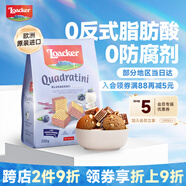 萊家loacker藍(lán)莓酸奶夾心威化餅干220g進(jìn)口宿舍辦公室健康下午茶零食