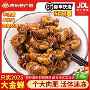 匯爾康2025新鮮知了猴金蟬爬叉100只生鮮知了龜唐僧肉速凍 【甄選大號(hào)】知了猴50只
