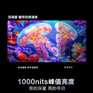 海爾H6C pro液晶電視 金屬全面屏高清4K高質(zhì)家用 75英寸