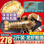 首鮮道【活鮮】波士頓龍蝦鮮活波龍 大龍蝦海鮮鮮活禮盒大蝦年貨禮盒 活龍蝦*1斤+活鮑魚*1斤8-10只