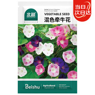 北蔬 牽?；ǚN子種苗可盆栽爬藤植物花卉種籽 混色牽牛花種子500粒
