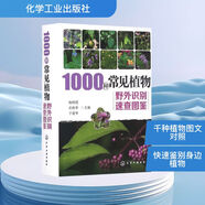 1000種常見(jiàn)植物野外識(shí)別速查圖鑒 楊輝霞,岳桂華,于愛(ài)華 主編 著 精裝 化學(xué)工業(yè)出版社 書(shū)籍