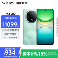 vivo Y300 8GB+256GB 青松 國家補(bǔ)貼 新一代超級(jí)揚(yáng)聲器 6500mAh超薄藍(lán)海電池 超抗摔護(hù)眼直屏 AI手機(jī)