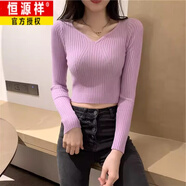 恒源祥春秋2025新款洋氣時(shí)尚內搭v領(lǐng)長(cháng)袖打底針織衫別致短款毛衣女 淺紫色(版) 均碼 :高彈力:70-130斤