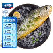 海名威 冷凍寧德黃花魚600g/條 大黃魚 深海魚 生鮮魚類 海鮮水產(chǎn) 