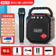 愛歌（aige）S28廣場(chǎng)舞音響戶外k歌音箱網(wǎng)紅唱歌專用手提移動(dòng)便攜式播放器 無線版+U段無線話筒+歌曲U盤