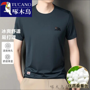 啄木鳥(niǎo)（TUCANO）短袖t恤男圓領(lǐng)桑蠶絲T恤中年夏季薄款透氣半袖冰感體恤上衣百搭 哈青 M 建議90-120斤
