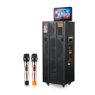 山水（SANSUI）工廠清貨特惠音箱功放話筒家庭影院戶外拉桿視頻機(jī)KTV音響 SA28-212