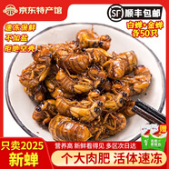 匯爾康2025新鮮知了猴金蟬爬叉100只生鮮知了龜唐僧肉速凍 大號(hào)知了猴50只+白蟬50只