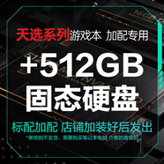 華碩天選系列 16G/32G內(nèi)存條  1TB/512GB/500GB固態(tài)硬盤-筆記本電腦升級(jí)專用（適用于天選4、5、6Pro） 512GB固態(tài)硬盤 固態(tài)硬盤PCle4.0 M.2