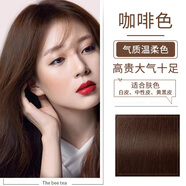 泡泡出彩染發(fā)膏植物流行色顯白染發(fā)劑黑色男女純遮蓋白發(fā)時(shí)尚自己在家染發(fā) 咖啡色/（倫敦奶咖）可蓋白發(fā)
