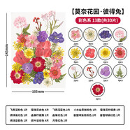 天色干花書簽材料包創(chuàng)意手工制作小學生男女孩畢業(yè)紀念禮物植物標本莫奈花園彼得兔多色30朵TS-6136