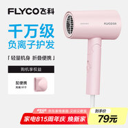 飛科（FLYCO）負(fù)離子電吹風(fēng)機(jī)家用速干便攜大風(fēng)力冷熱風(fēng)吹風(fēng)筒FH6278