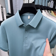 LESS IS MORE利郎長(cháng)絨棉中年男士POLO衫2025夏新款翻領(lǐng)短袖T恤寬松休閑 淺藍 XL