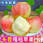 同甘園順豐直達山西嘎啦蘋果新鮮水果當季整箱現(xiàn)摘早熟紅富士冰糖小蘋果 凈8.5斤品質精選 65-70MM