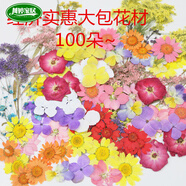 2025新款純手工滴膠干花擺件diy標(biāo)本材料兒童彩妝拍照攝影拓印材 100朵一包(經(jīng)濟(jì)包) 干花包