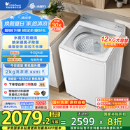 小天鵝（LittleSwan）波輪洗衣機(jī)全自動 12公斤 小烏梅輕奢版【TB12VE20DW】水魔方防纏繞 家電國家補(bǔ)貼20%