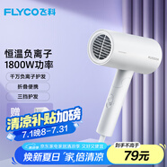 飛科（FLYCO）負(fù)離子電吹風(fēng)機(jī)家用便攜速干冷熱風(fēng)大功率吹風(fēng)筒FH6276