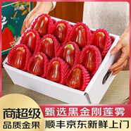 優(yōu)味集蓮霧黑金剛【順豐JD速發(fā)】整箱熱帶新鮮孕婦水果海南霧連風(fēng)鈴鐺 500g凈重【商超級單果75-120g】