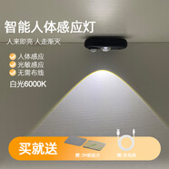 芃彩人工智能感應(yīng)燈頭開關(guān)控制燈led氛圍燈創(chuàng)意家用聲控感應(yīng)usb小夜燈 黑色外殼人體感應(yīng)燈【白光】
