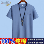 鱷魚(yú)恤新款夏季時(shí)尚打底短袖t恤男款純棉寬松半袖圓領(lǐng)時(shí)尚百搭純色上衣 DX霧藍(lán)色 XL 【建議120-135斤】