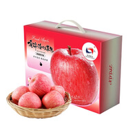 洛川蘋果陜西延安特產(chǎn)紅富士時令蘋果水果禮盒送蘋果生鮮新鮮脆甜整箱批發(fā) 20個75mm 臻選果 禮盒裝