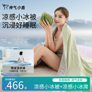 神氣小鹿小冰被夏涼被可水洗薄被芯單雙人空調被抑菌透氣 綠色套裝-小冰被+小冰席 200*230cm