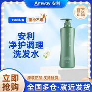 安利（Amway）絲婷洗發(fā)水去屑止癢凈護調理控油修護頭皮滋養正品洗發(fā)露750ml 凈護調理洗發(fā)露750ml
