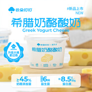 云朵叮叮希臘干噎奶酪酸奶45%奶酪添加量固體酸奶輕食早晚餐整桶 500g*2桶裝(無(wú)藍莓醬)