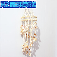 天然海螺貝殼擺件特色手工藝品貝殼風(fēng)鈴 掛飾品創(chuàng)意生日禮物m 花口螺