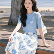 艾蔓婕夏季連衣裙女2025新款減齡一整套韓系風(fēng)格大方得體休閑裙子兩件套 上衣+裙子 （精品套裝裙） M 建議90-102斤