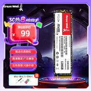 長(zhǎng)城（Great Wall）128GB SSD固態(tài)硬盤 M.2接口(NVMe協(xié)議)PCIe 3.0x4 GW3300系列